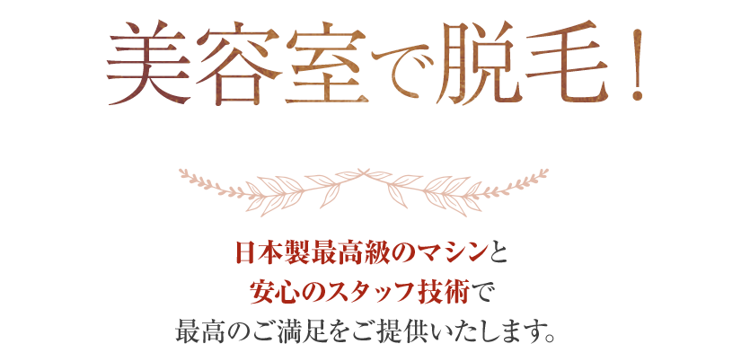 あなたの歯を、キレイに美しく。